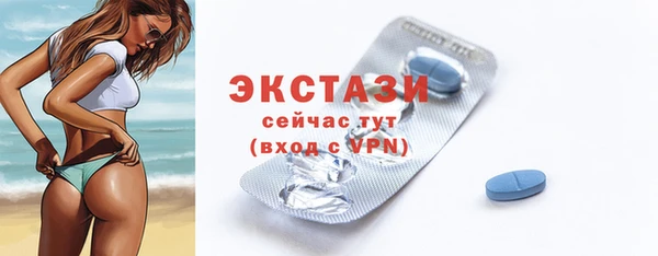 дживик Богородицк
