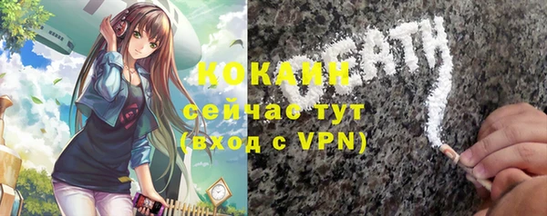 дживик Богородицк