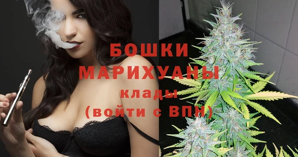дживик Богородицк