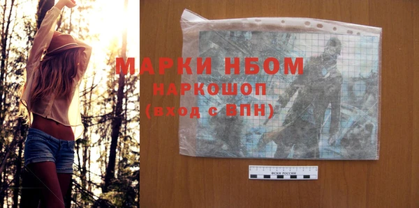 дживик Богородицк